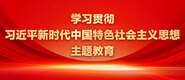 www.caosaobi学习贯彻习近平新时代中国特色社会主义思想主题教育_fororder_ad-371X160(2)